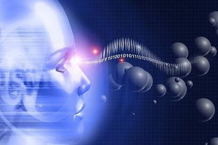 自动驾驶汽车挑战赛 推动智能科技发展的前沿平台